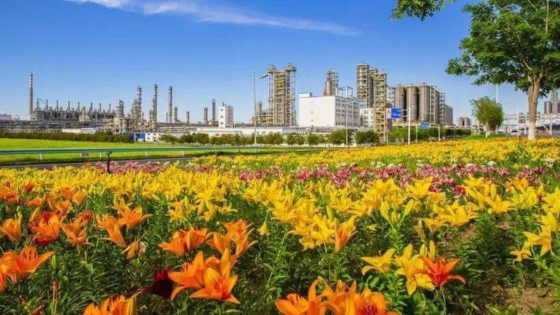 上海化工产品原材料采购平台：构建高效供应链的枢纽