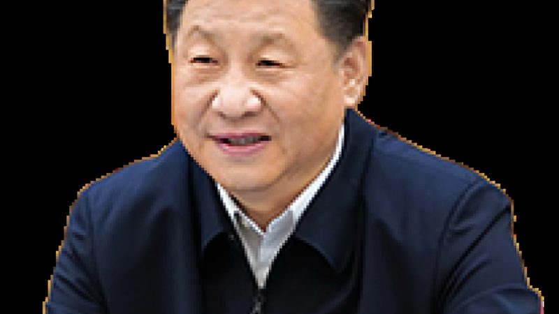 醇酸树脂涂料：一吨价格背后的考量因素